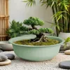 Mini-bassin de jardin rond vert mat - 52 cm - Grande coupe Voir les images du produit 6