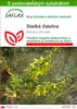 SAFLAX - sladká ďatelina - Melilotus officinalis - 250 Náhľad obrázku produktu 1