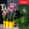 KADAX květináč "Fermo", květináč, plastový květináč, Náhled obrázku produktu 3