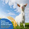 Leimüller Mangime per capre Muesli 20 kg Anteprima dell’immagine prodotto 2