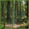 Forstzaun - Wildzaun - 200/21/10 Gruen, 200 cm Hoehe, Produktbild-Vorschau 11