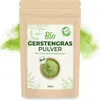 Gerstengras Pulver in Rohkostqualität 500g Produktbild-Vorschau 1