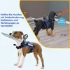 Hundegeschirr,Blindenhund Sicherheitsgeschirr mit Produktbild-Vorschau 3
