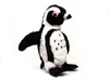 Wild Republic - Kuscheltier - Cuddlekins - Brillenpinguin Produktbild-Vorschau 3