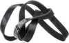 DAYCO Keilrippenriemen 1175,0mm für FIAT PANDA (169) Produktbild-Vorschau 1