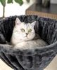 lionto Nid pour arbre à chat, surface de repos avec cadre Voir les images du produit 3