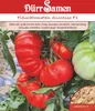 Fleischtomaten Successo F1 | Fleischtomatensamen von Dürr Produktbild-Vorschau 1