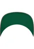 FLEXFIT Classic Snapback Náhled obrázku produktu 15