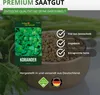 Koriander Comun Samen - Coriandrum sativum - Koriandersamen Produktbild-Vorschau 8
