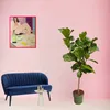 Trendyplants - Ficus Lyrata am Stiel - Tabakpflanze - Produktbild-Vorschau 2