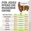 A size chart for horse equipment, showing different horse sizes and corresponding measurements. Produktbild-Vorschau