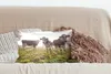 MuchoWow® Zierkissen Sofakissen Wohnzimmer Dekokissen 50x30 Produktbild-Vorschau 4