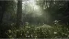 Metal Gear Solid Delta Snake Eater PS5 Spiel, Day One Produktbild-Vorschau 2