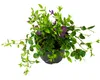 Barvínek fialový FloraSelf Vinca minor 'Atropurpurea' Náhled obrázku produktu 1