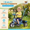Spielwerk® Tricycle 2en1 Evolutif Bleu pour Enfants Voir les images du produit 2