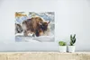 MuchoWow® Poster Wisente laufen durch den Schnee im Produktbild-Vorschau 5