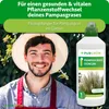 Purgrün Pampasgras-Dünger 1 Liter Produktbild-Vorschau 2