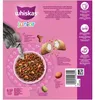 WHISKAS® Karton Trocken Junior mit Huhn 5 x 800g Produktbild-Vorschau 5