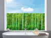 Fensterfolie Venilia Vitrostatic Bamboo Bambus 67,5x150 cm Produktbild-Vorschau 1