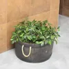 A plant in a barrel-shaped planter sits on a tiled floor next to a tiled wall. Náhled obrázku produktu