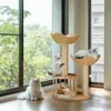 Several cats are playing on a multi-level cat tree next to a large window with greenery outside. Náhľad obrázku produktu