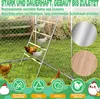 Chickens on a ladder in a chicken coop. Náhled obrázku produktu