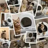 POOPY NANO 2 - Automatische Selbstreinigende Katzentoilette Produktbild-Vorschau 7