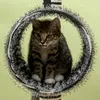 A tabby kitten sits inside a circular tunnel decorated with tinsel, part of a cat tree. Produktbild-Vorschau