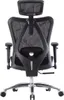 Rear view of an ergonomic office chair. Náhled obrázku produktu