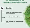 Allflor Rasenkalk, fein gekörnt, 20kg, mineralischer Kalk Produktbild-Vorschau 3
