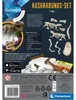Clementoni Ausgrabungsset T-Rex, Skelett, Paläontologie, 7 Produktbild-Vorschau 2