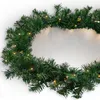 A close-up shot of a green Christmas garland with warm white LED lights, arranged in a circular shape against a white background. Anteprima dell’immagine prodotto