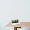 Atmosphera créateur d'intérieur umìlá aloe vera 3 kusy. Náhled obrázku produktu 6
