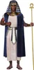 A man dressed in a Pharaoh costume, holding a staff. Podgląd zdjęcia produktu