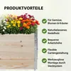 A raised garden bed filled with colorful flowers, with text highlighting product advantages. Produktbild-Vorschau