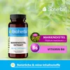 Bioherba Mariendistel Extrakt 380 mg 100 Kapseln Produktbild-Vorschau 4