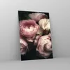 Bilder auf glas - Einteilig - Pfingstrose Blume - 50x70cm - Produktbild-Vorschau 4
