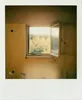 An interior view of a room with a window looking out onto trees. Voir les images du produit