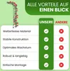 Halbbogen schwarz 120x240 cm 40 cm tief Rosenbogen für Produktbild-Vorschau 5