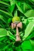Outdoor - Kendama - Pop Lol - Lime Green - Krom Voir les images du produit 3