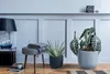 A stylish living room corner with plants and decor. Náhled obrázku produktu