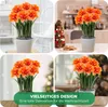 Amaryllis Zwiebel Celica - 1 Blumenzwiebel in Großformat Produktbild-Vorschau 2