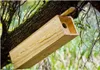 Vogelhaus - Nistkasten Für Steinkauze MKW - Stabiler Produktbild-Vorschau 4