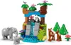 LEGO LEGO DUPLO 10446 Sada 3 v 1 pre rodiny divokch zvierat Náhľad obrázku produktu 6