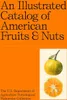 An Illustrated Catalog of American Fruits & Nuts Produktbild-Vorschau 1