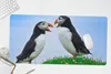 MuchoWow® Schreibtischunterlage Tiere - Vögel - Produktbild-Vorschau 5