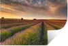 MuchoWow® - Selbstklebend - Fototapeten Produktbild-Vorschau 1