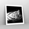 Poster - Poster ohne Rahmen - Weiß Tiger Schwarz und Weiß - Produktbild-Vorschau 7