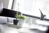 Kvetináč Splofy I biely 15,7 cm Náhľad obrázku produktu 5