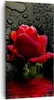 Bild auf Leinwand - Leinwandbild - Blume rote rose wasser Produktbild-Vorschau 1